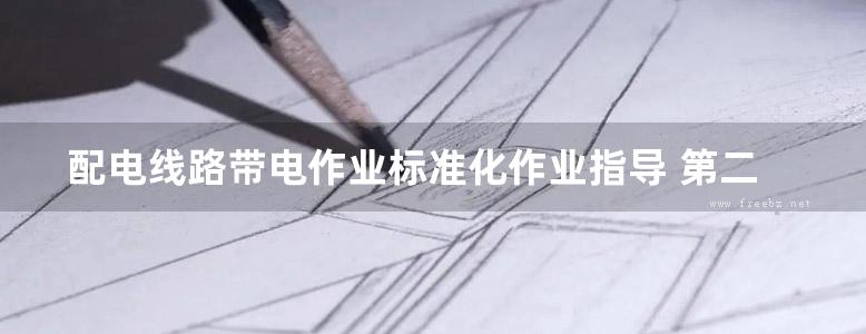 配电线路带电作业标准化作业指导 第二版